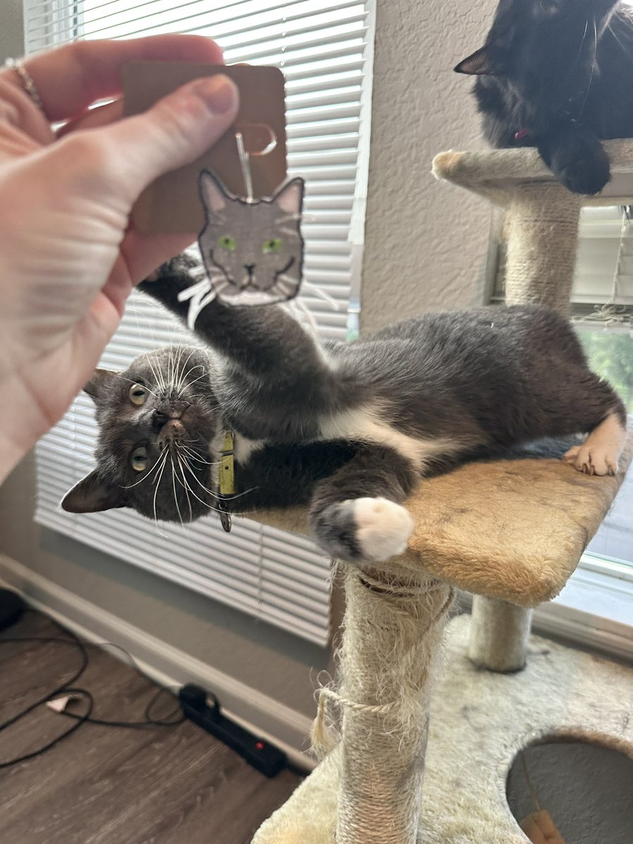 SlapQueenDotCom's tweet photo. I turned my cats into earrings pt 4 ✨ these earrings r on the site and I AM now taking custom orders so pls let me draw ur pets and turn them into earrings!!! 😻😻 https://t.co/LAv0Ca8D16