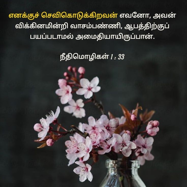 mohandavid10's tweet photo. https://t.co/YQFGQOIb6U