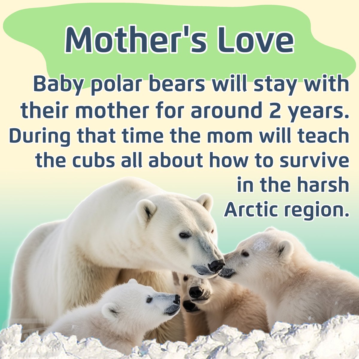 Lookout Lunch Box tweet media