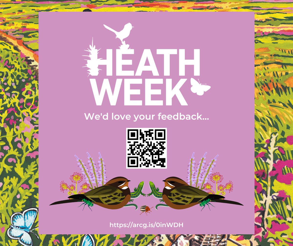 We love getting feedback about our activities and will feed all your ideas into next year’s Heath Week! Please use this link to tell us what you think about any of our events: arcg.is/0inWDH 🙏

#HeathWeek2023 #ThamesBasinHeaths