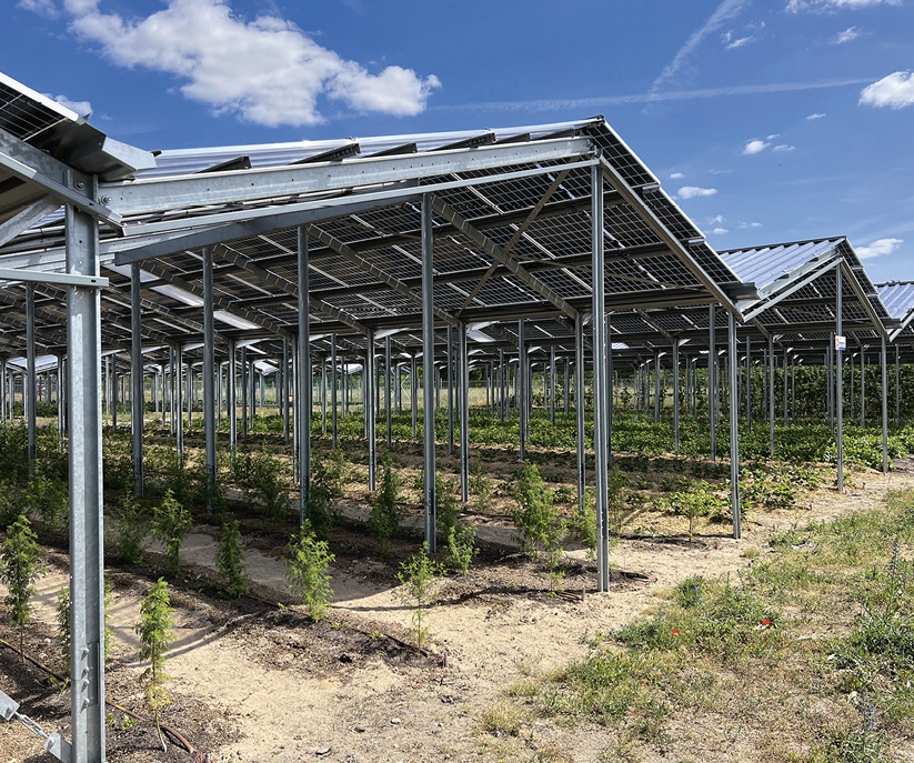 pvmagazine's tweet image. Croatia adopts legal framework for agrivoltaics: The Croatian government has adopted bylaws to the Spatial Planning Act that define agrivoltaic installations and the areas in which they can be deployed, in… #renewableenergy #solarenergy #sustainability dlvr.it/SsrmYH