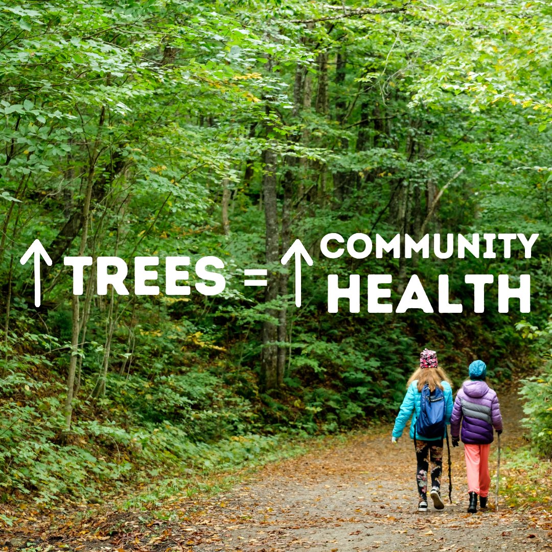 givemetrees's tweet photo. Urban #Trees overwork and outperform their average capacity to handle all the pollution by storing maximum carbon.

They help in improving the overall physical, psychological and social health of people.

Hence, we are working on creating #miniforests in various cities of #India. https://t.co/SIkiBKZNx1