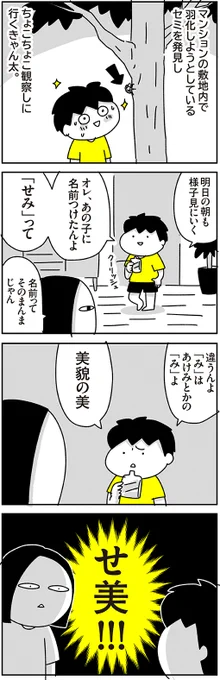 うち、今年も家の前のセミすごくて
鳴き声を聞く度にこのことを思い出します…
https://t.co/2PKgx6oBLU 