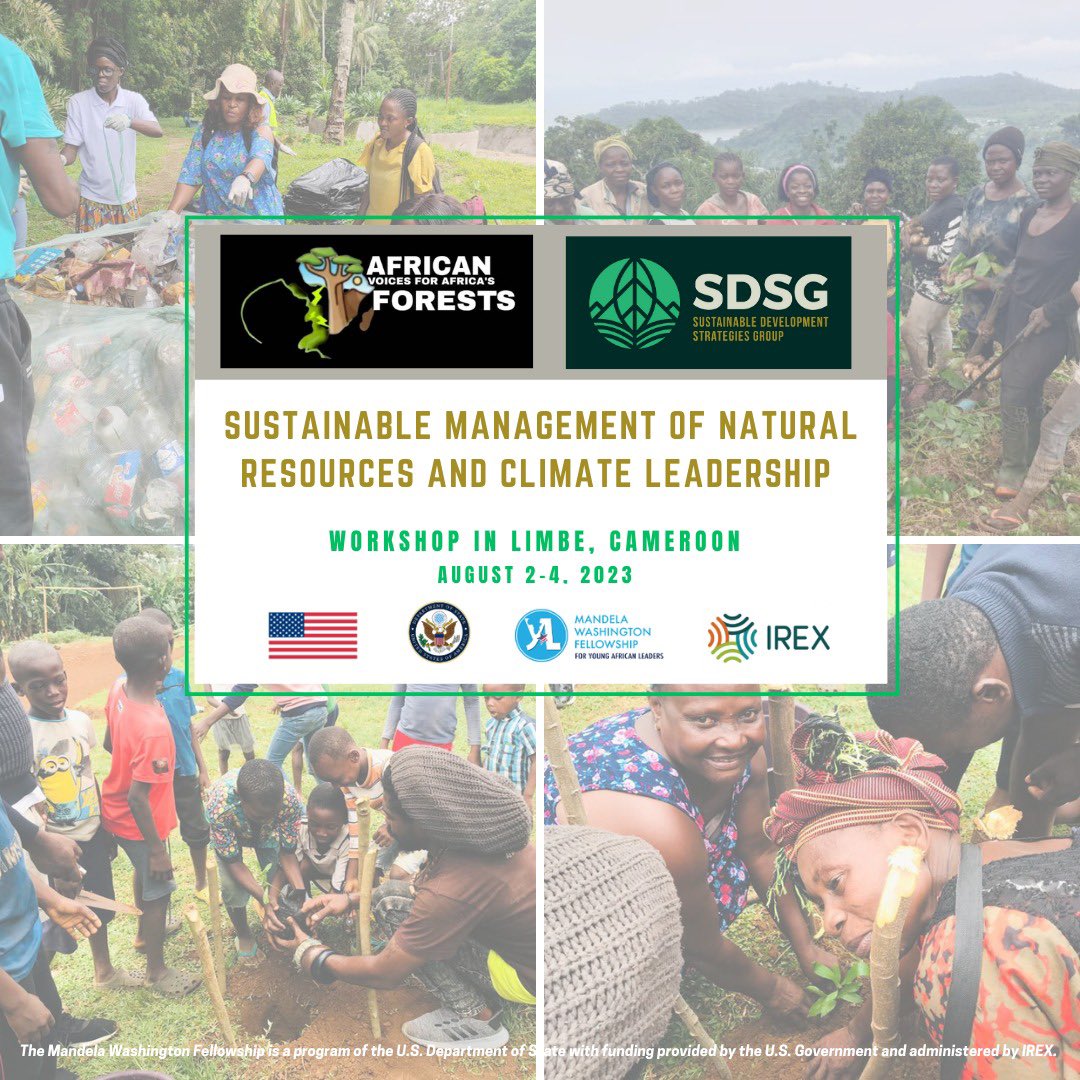 AVAFinfo's tweet image. 