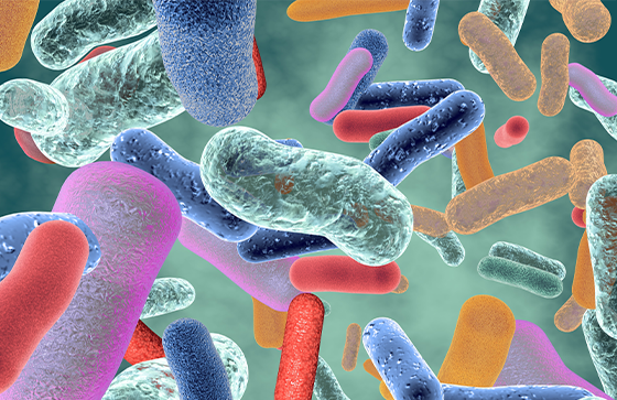 gaiarrido's tweet photo. 🔈Nuevo #articulo #openaccess: el papel de la microbiota del mosquito 🦟invasor #Aedes albopictus en la transmisión de patógenos🦠 @FrontiersIn @CanalUGR @JMartinezPuente @Jesus_Veiga_ @GarrigosMarta @COSTprogramme @ffarmaciaUGR @AgEInves @OSMAN_salud 
https://t.co/fKmqpkV6iE https://t.co/dTDPspzxGZ
