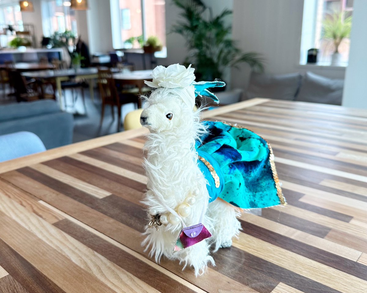 Sarah Jessica Llama is all set for the <a href="/curious_lounge/">The Curious Lounge</a> summer party starting @ClaysKitchenBar followed by a salsa night. With the team recently doubled in size this one could end up messy #rdguk