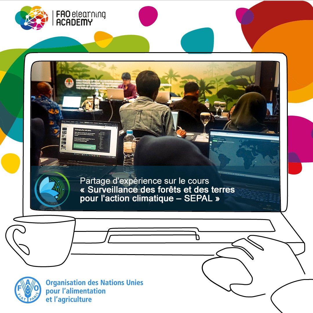 rocio_condor's tweet image. Intéressé par les plateformes et outils numériques pour un suivi plus efficace des forêts et des terres ?

Inscrivez-vous dès aujourd&apos;hui au cours de formation à votre rythme de la @FAO et obtenez un badge numérique! bit.ly/3OmC7RF
 
#LearningSEPAL #actionclimatique