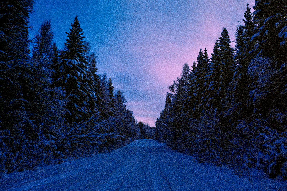 eamonsphotoss's tweet photo. arctic winter https://t.co/KA5lRtDGLo