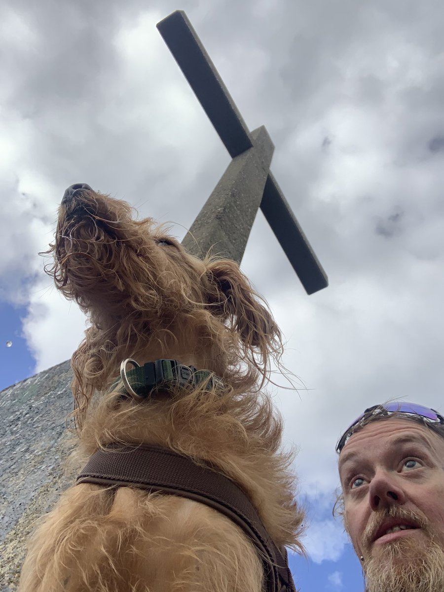 JuJuJay3's tweet photo. #petminding time! And a nice walk up onto the local hills of bray trails!
#yourpets #cat #dog #petminder https://t.co/7j0XRS4ebA
