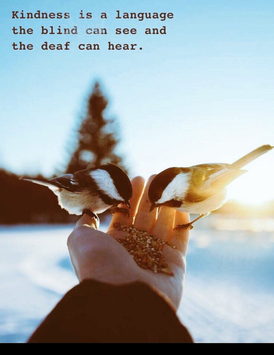 Just be kind always 💙