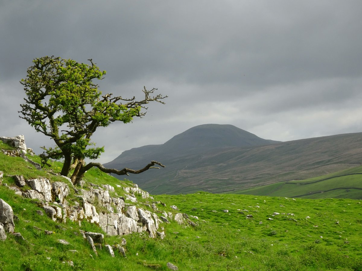 ContoursHoliday's tweet image. These photos were sent in to us by Contours customer Robert Evans from their recent walking holiday along the Dales High Way in #Yorkshire. Thank you for sharing and we're pleased to see you had a great time! 🌻

Check out our Dales High Way tours here: buff.ly/3ehCIpt