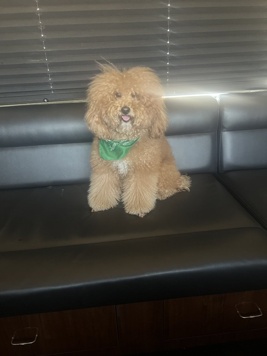 Danny Samet tweet media