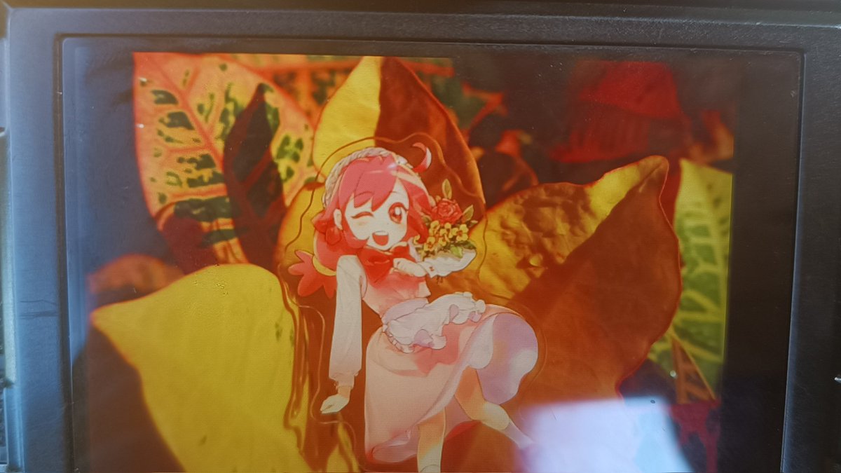 突然出现❤️✨