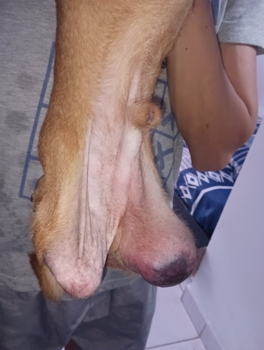 SmFundacion's tweet photo. Dios mío Angel está en cali, y nadie lo quiere ayudar 
Nequi 3164777855
Por favor una ayuda 🆘
#Informacion 3164777855
#Dona #Ayuda https://t.co/uk3ldhLGJQ