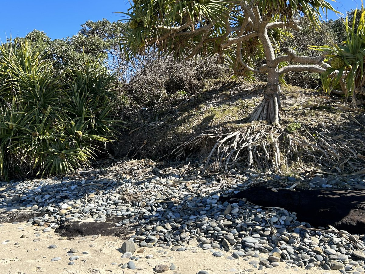 PublicBallina's tweet photo. We learned that Indigenous people stayed at Evans Head because there was plenty of food, stones to make tools  and fresh water https://t.co/Yae1Cq4Z8f