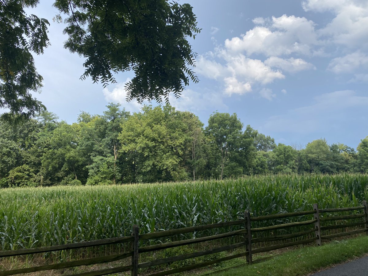 WargamesToGo's tweet photo. A few hours to kill before my flight home. Just enough time to squeeze in one more site. A famous bridge, sunken lane, notable cornfield, and plenty of artillery. Yep, I got to revisit the battle of Antietam. https://t.co/l0yH5gLxeA