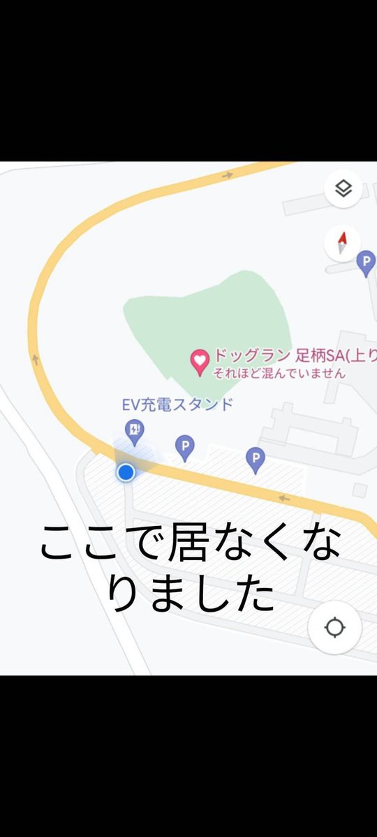 furoharatori's tweet photo. 【探し猫】EXPASA足柄サービスエリア（上り線）
早朝、お風呂ちゃんがハーネスを脱ぎ捨て脱走してしまいました。
首輪なし
まだ、見つかりません
心当たりの方が
ご一報ください。
2歳♂
白✖️茶
#ノルウェージャンフォレストキャット 
#探し猫
#拡散希望 
#迷い猫 
#迷子猫
#探してます
#神奈川
#静岡 https://t.co/Vz4GRQ60vo