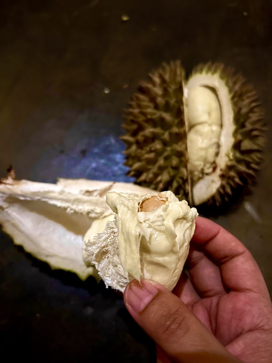 delazael's tweet photo. @FOODFESS2 Mie khodon, bakso, sate maranggi, duren dr kebon sendiri 🤤 https://t.co/tjIfndYhUK