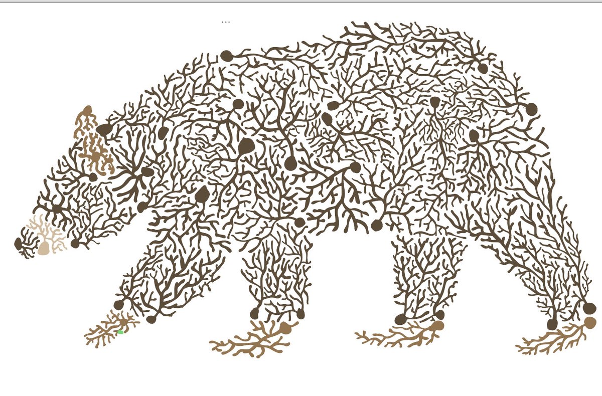 NeuroWoodworks tweet media