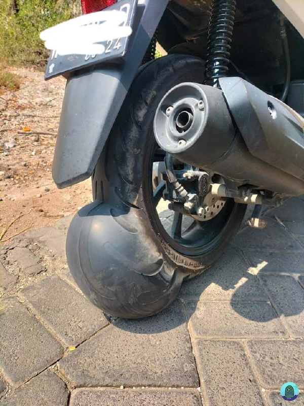 💚 INI SIAPA YANG HAMILIN BAN GW ANJIRR 😭😭😭