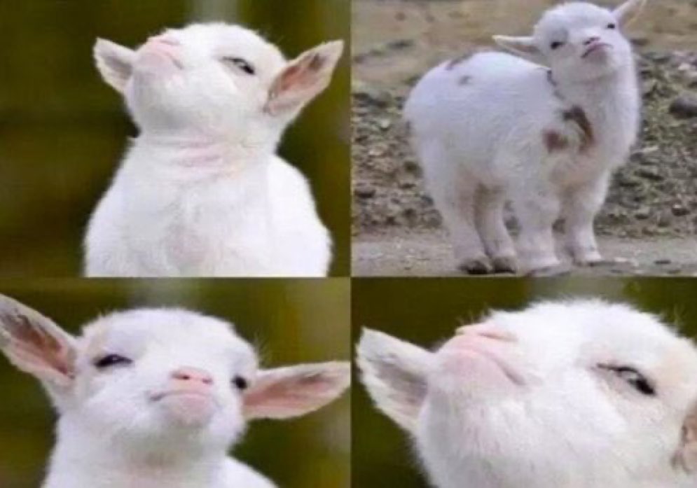 cuando no te creyeron pero al final tenias razon