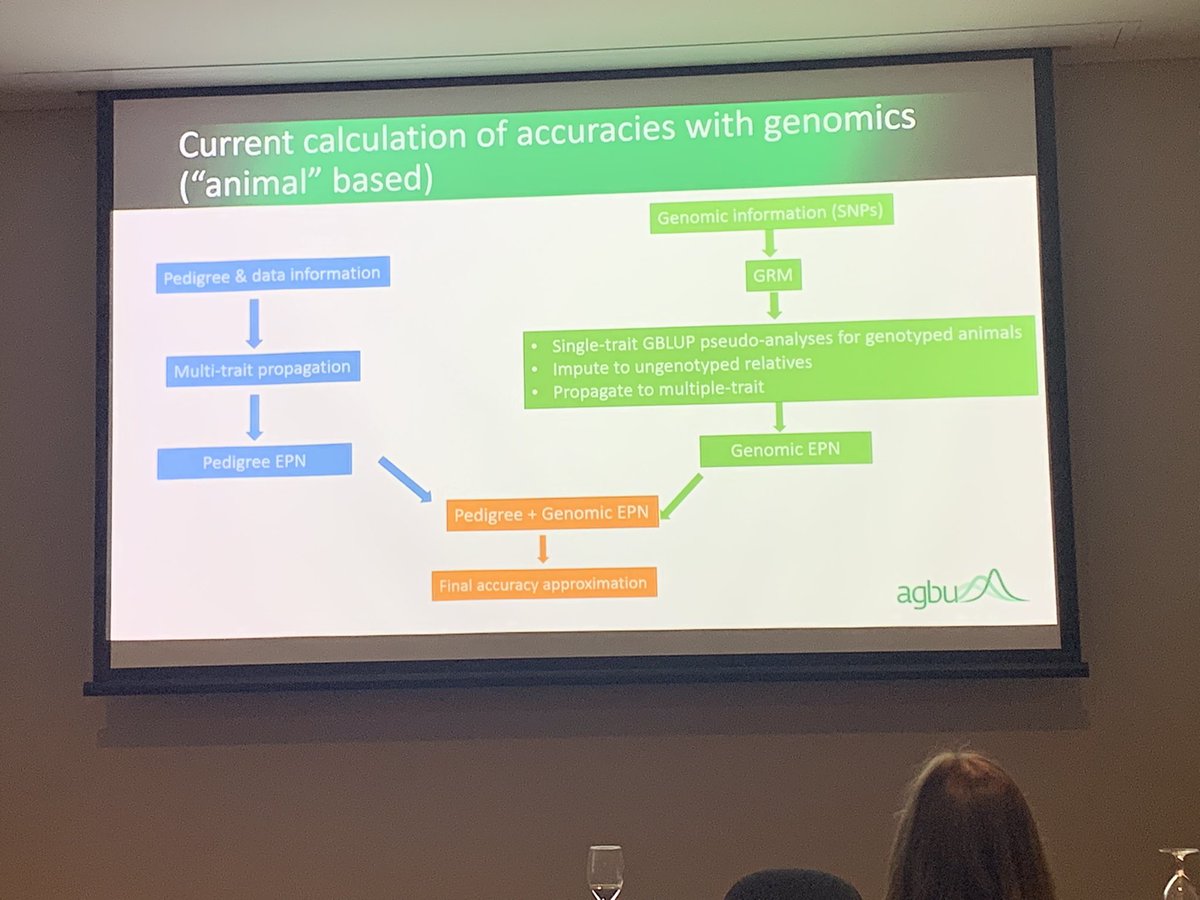 AGBU_GENE's tweet photo. 🐮 Enjoyed hearing Li Li from @agbu_gene's talk at #aaabg2023! 🎤👨‍🔬 He discussed the SNP BLUP approach and how it helps estimate accuracies for genotyped animals. 🧬📈 allowing for fast and accurate estimates of accuracy @nswdpi @meatlivestock @UniNewEngland https://t.co/TwjBfFSv71