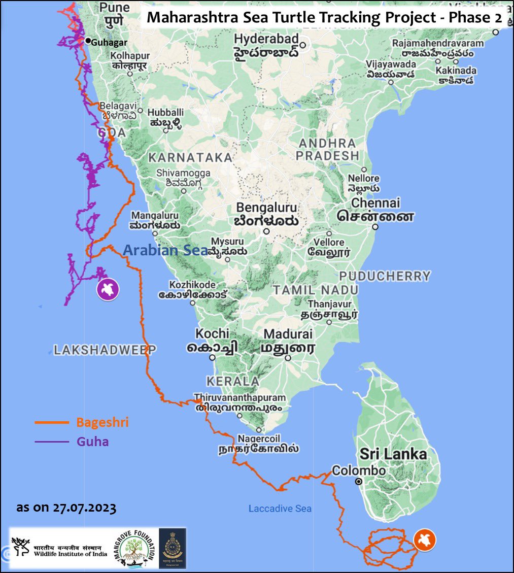 MangroveForest's tweet photo. SEA TURTLE TAGGING PROGRAMM PHASE II UPDATE 

Bageshri continues to circle around in the waters off the southern coast of Sri Lanka and has been constantly on the move.
She completed one more loop and is now on the third loop it appears

@anitapatil_ifs @sureshwii @AdarshReddyIFS https://t.co/oGYDjgk4eA