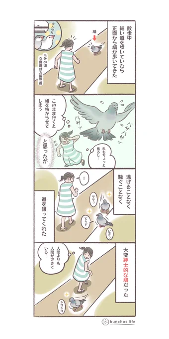 紳士的な鳩に出会った
#文鳥 
#4コマ漫画 

*過去作ダウンロードできます!(固定ツイート参照) 
