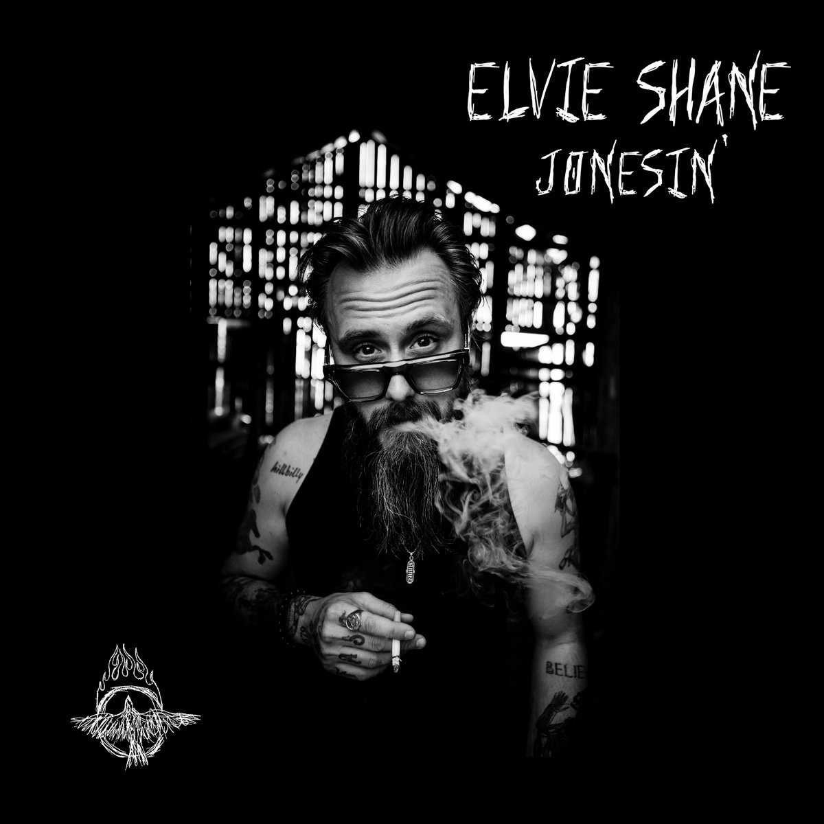 Elvie Shane tweet media