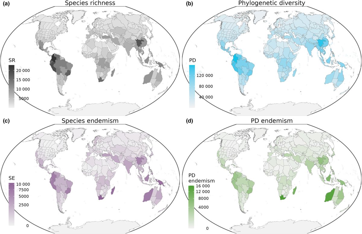 Global hotspots of plant phylogenetic diversity

Tietje et al.

📖 ow.ly/msvp50PmrKS