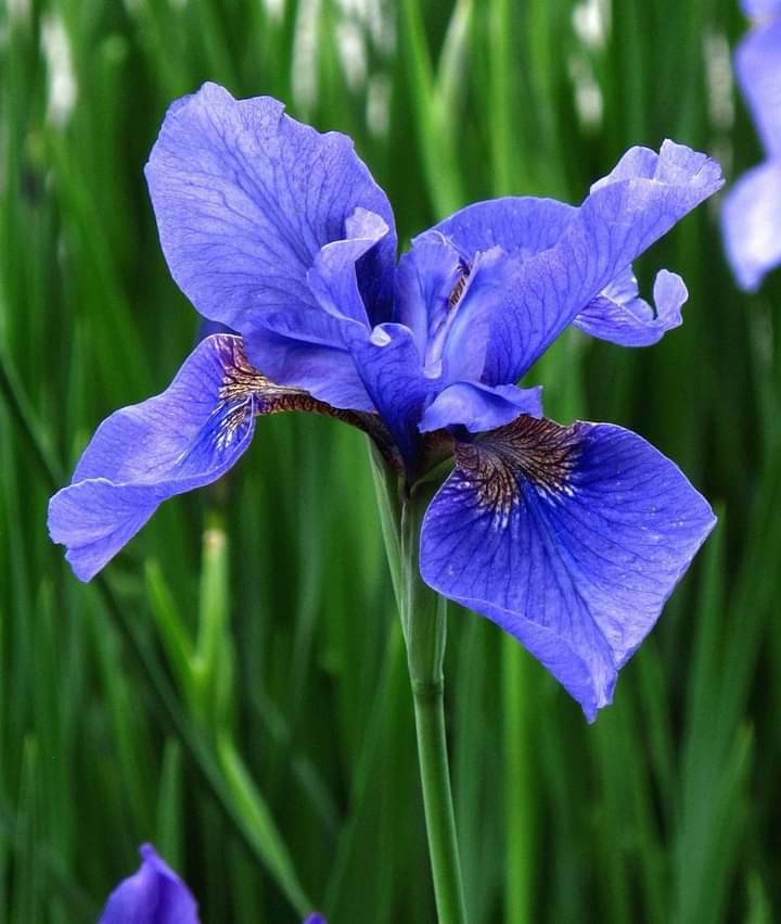 74ceff6b903445b's tweet photo. Hello dear friends 🙏
Have a beautiful Friday 🩵 https://t.co/vkGW7XaTG2