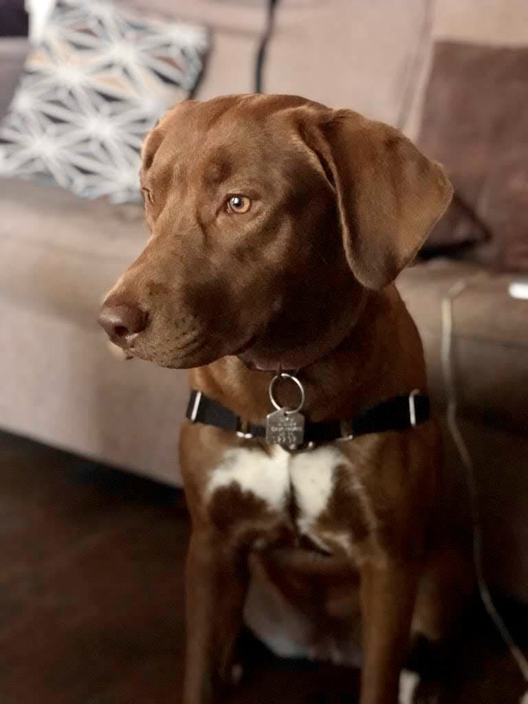 mag_katt's tweet photo. https://t.co/hQh4sNk6EL