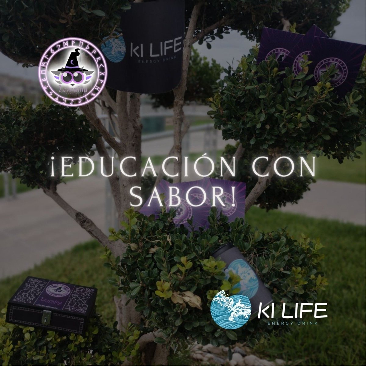 JUANALBER900210's tweet photo. 🎓🌟 ¡Aprende y disfruta con Learning Battle y Ki Life! Sumérgete en la emoción de aprender con nuestro juego de tarjetas didácticas mientras disfrutas de las increíbles bebidas Ki Life. 🥤 #LearningBattle con #KiLife y #AprenderYDisfrutar #JuegosDidacticos #Bebidas https://t.co/M0VMEE2sm5