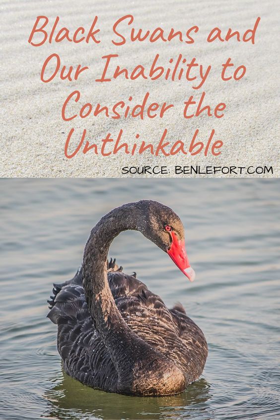 "The occurrence of the Black Swan event has left a significant impact on our society. We must take a serious approach in analyzing and addressing the consequences of this unforeseen event." #formal #BlackSwanEvent