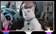 _SamPlays_'s tweet photo. Quality content on my streams https://t.co/ohkVST27VN