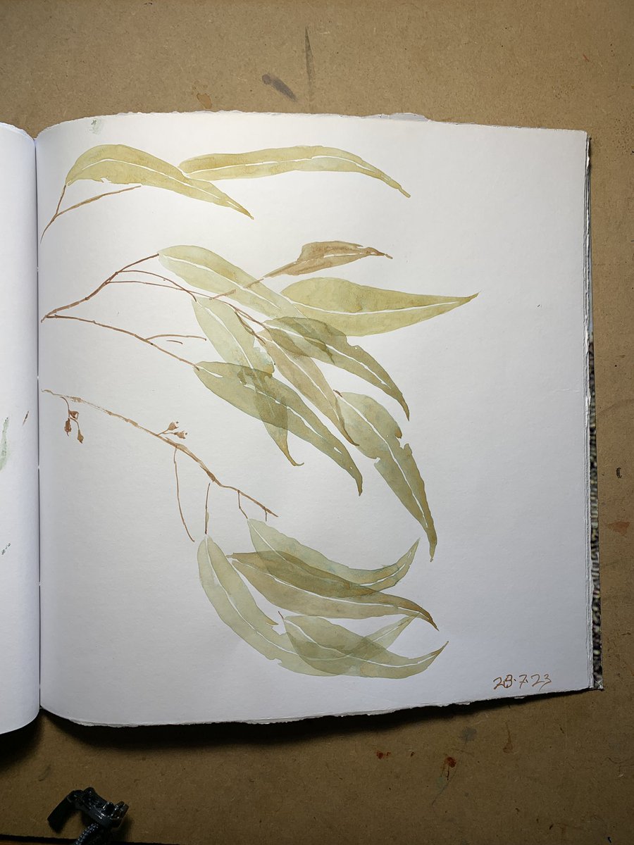 Another leaf study from this morning. Just drawn with a brush and waited for the first leaves to dry so I could paint over them. #contemporarywatercolour #artoftheday #dailypainting #gesturedrawing #natureart #sketchbookart #shapes