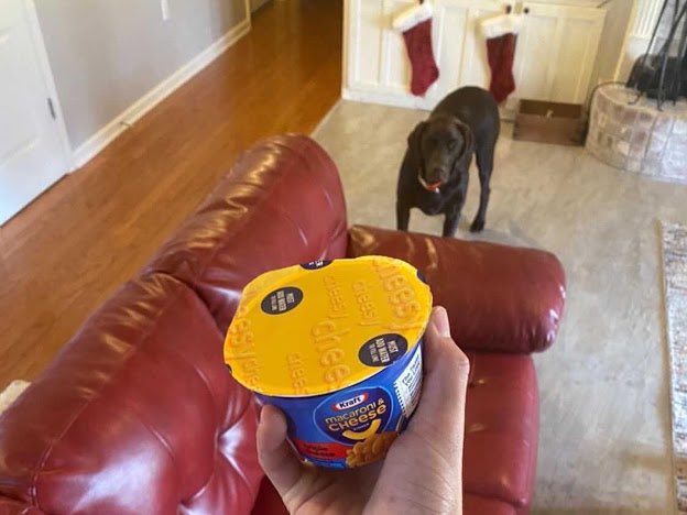 Grippingfoods's tweet image. 