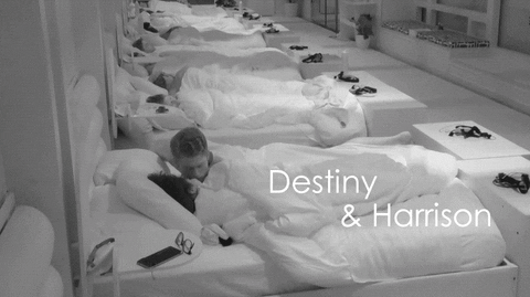 bonobochick's tweet photo. Cute Destiny & Harrison moments from #LoveIslandUSA ep 5x09. ๐ฅฐ
#romance #LoveIsland #Darrison https://t.co/zfRbf6qujl