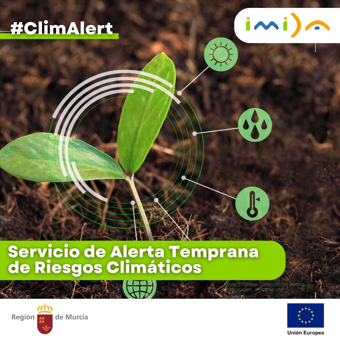 imida_murcia's tweet photo. Los profesionales del @imida_murcia colaboran con el Servicio de Alerta Temprana de Riesgos Climáticos #ClimAlert con la finalidad de que los técnicos conozcan sus aplicaciones, así como el manejo del software y las diferentes herramientas que integra ☀️⛈️ https://t.co/VbJE88sp9e