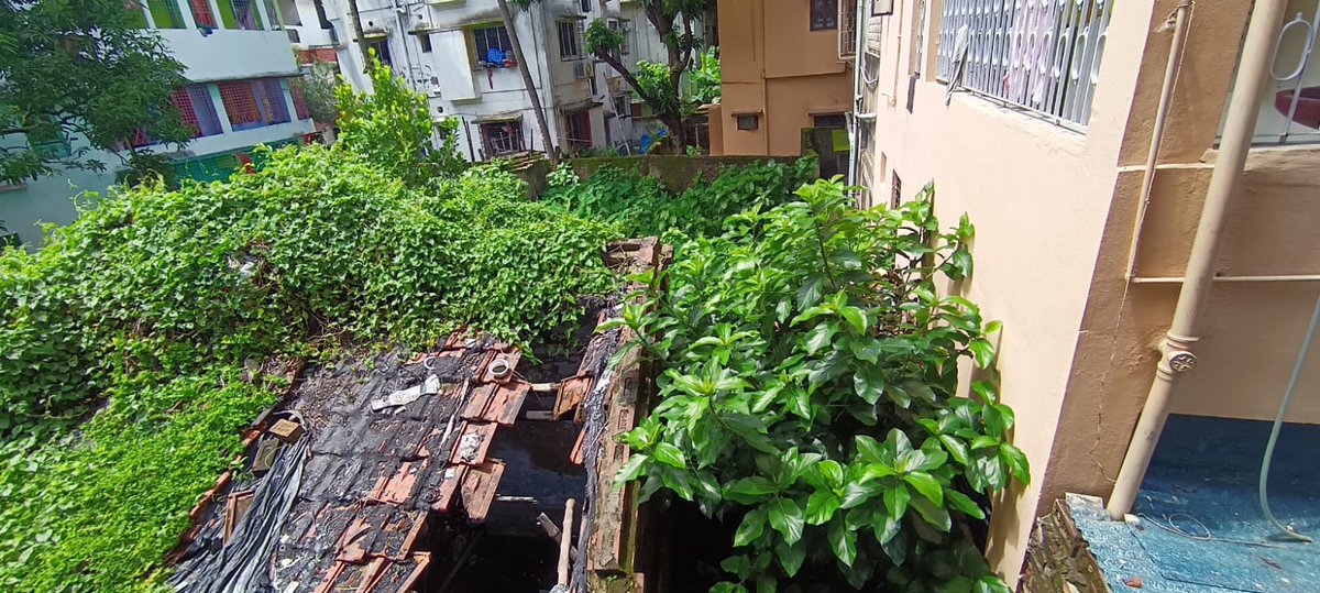 rskoljg's tweet photo. @kmc_kolkata From Ward no 107. Every year we are facing Dengue victims. Request to take action ASAP. M-8336927040 https://t.co/9ywB017M6r