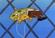 Live reaction listening to TELEKINESIS