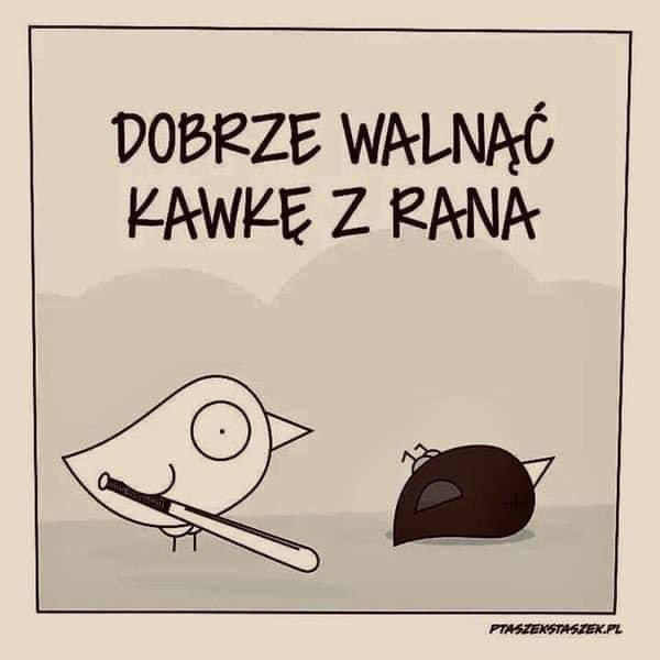 StanDuperka (@dagmara12250553) on Twitter photo 