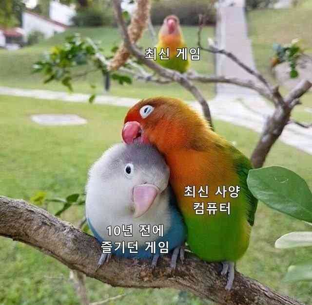 내 탐라 사람들 죄다 이거다...