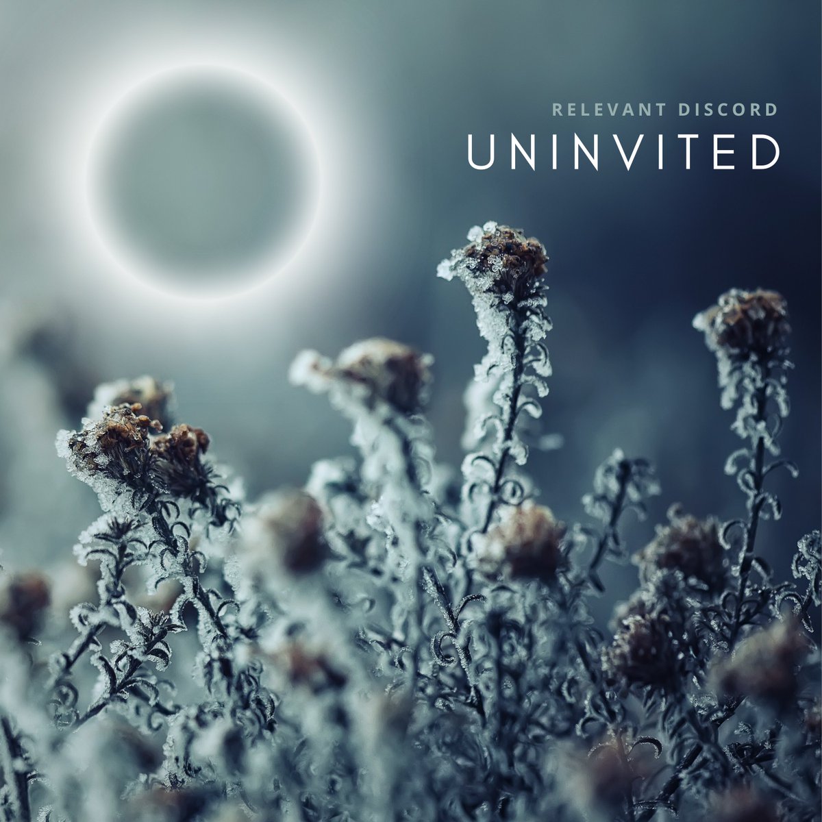 Relevant Discord tweet media