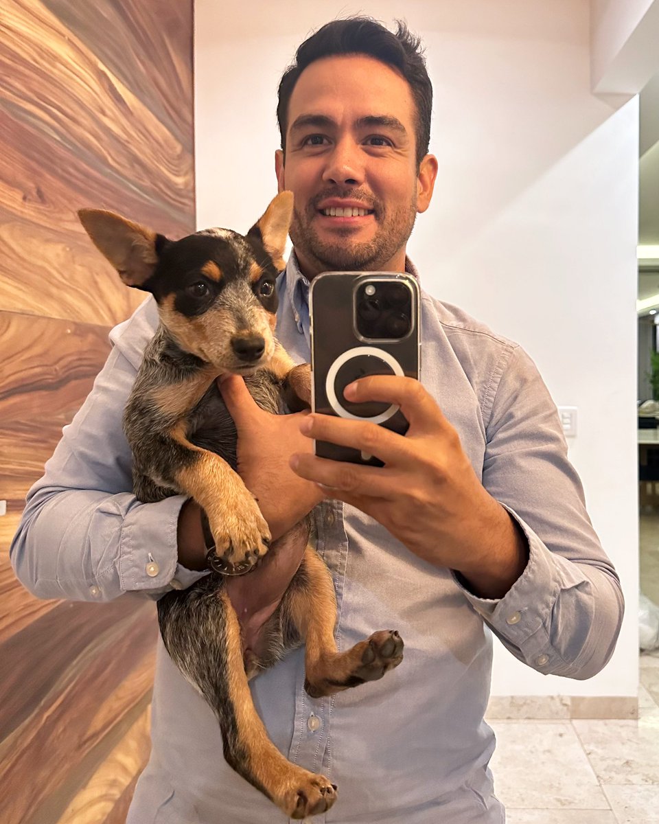 AllanLeon_'s tweet photo. Ayer adoptamos a esta pequeñita y voy llegando a casa a jugar un rato con la nueva integrante de la familia #Rutila. 
#DogLover 🐕🐾❤️ https://t.co/pR5hxFTOhZ