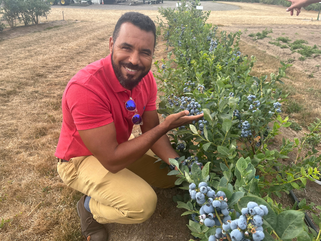 globalplantgen's tweet photo. We’ve had a great week in #Oregon together with our blueberry breeding partners, Oregon #Blueberry and a range of #international #crop specialists.

The quality of the #genetics coming through the programme has enthused us greatly for both the near &amp; far future.

Stay tuned! https://t.co/0e4ILEOtPq