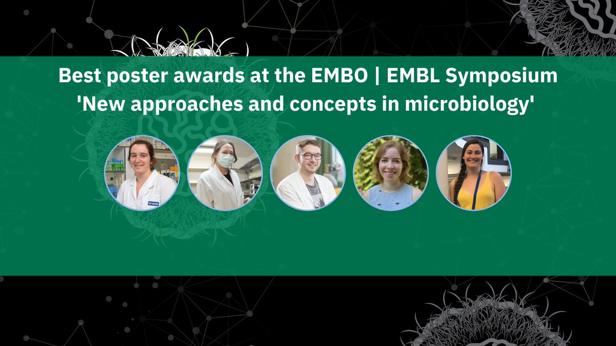 Last month #EESMicrobiology took place in Heidelberg and virtually, welcoming a total of 398 participants of which five won best poster prize! Here we present you the winners🏅🙌👏.

Read more👇
embl.org/about/info/cou…