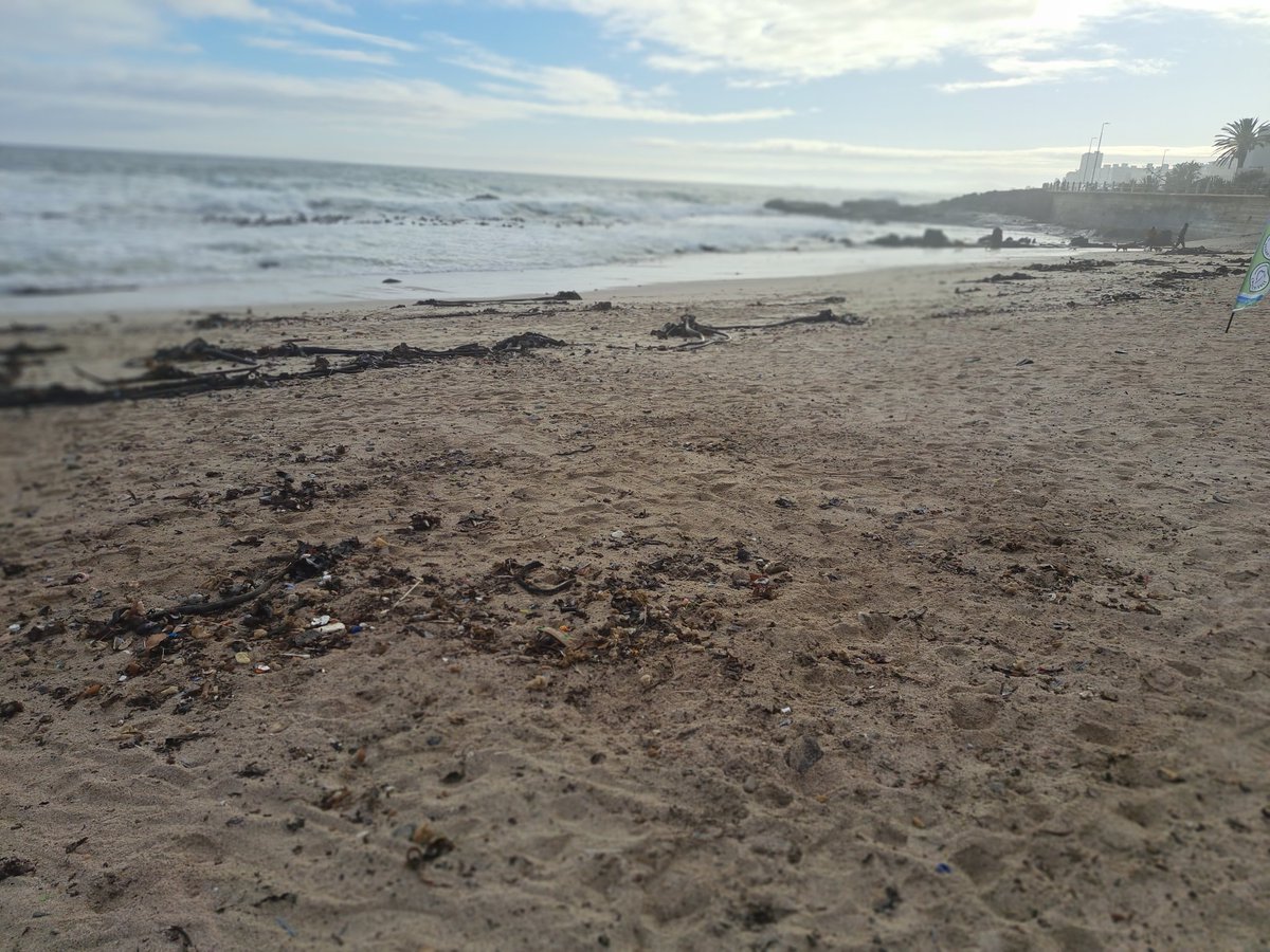 Clicks_SA's tweet photo. @clicks_sa MyEarth has partnered with Save a Fishie to help clean up Sunset Beach in Sea Point.
This forms part of our commitment to building a healthier future for all South Africans and our planet.
#JoinOurMyEarthJourney #ClicksMyEarth #SaveAFishie https://t.co/YTgVxGeNoK