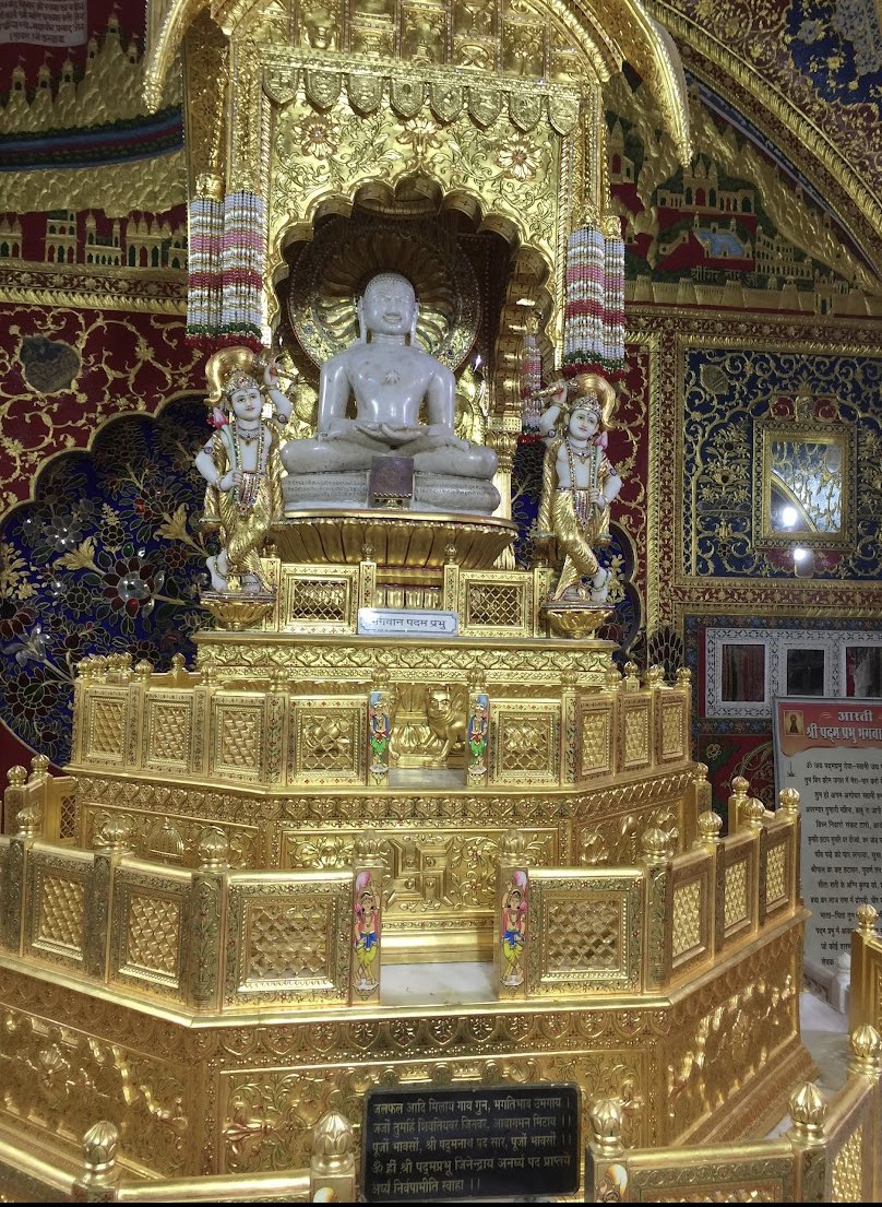 दर्शनं देवदेवस्य, दर्शनं पापनाशनम्।
दर्शनं स्वर्गसोपानं, दर्शनं मोक्षसाधनम्॥
दर्शनेन जिनेन्द्राणां, साधूनां वन्दनेन च।
न चिरं तिष्ठते पापं, छिद्रहस्ते यथोदकम्॥

जय जिनेंद्र 🙏