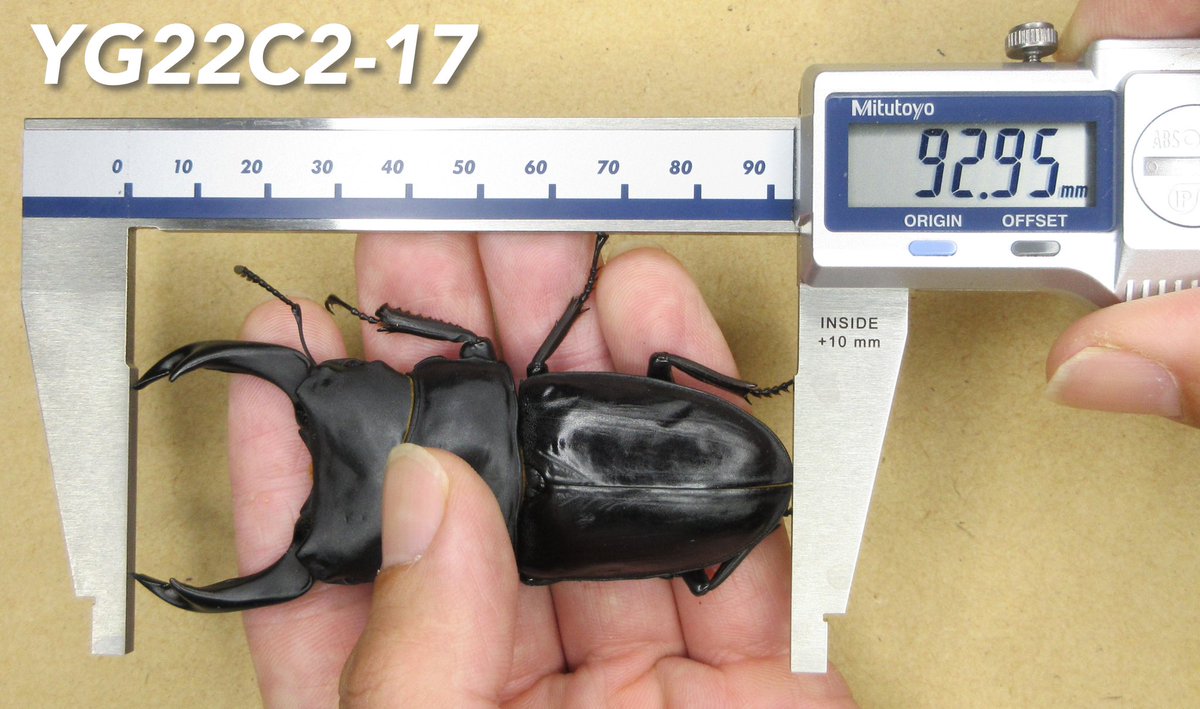 ひろパパ (@hiropapa01) / Posts / X